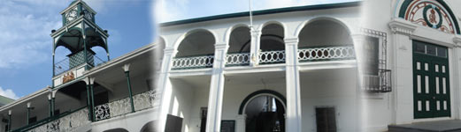Belize Law Firms